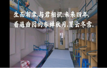 老虎机赌场