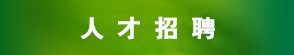 老虎机赌场